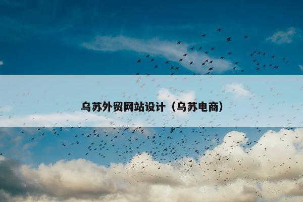 乌苏外贸网站设计（乌苏电商）