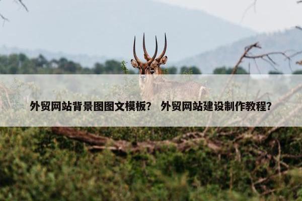 外贸网站背景图图文模板？ 外贸网站建设制作教程？