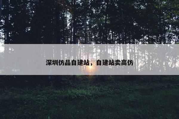 深圳仿品自建站，自建站卖高仿
