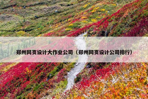 郑州网页设计大作业公司（郑州网页设计公司排行）