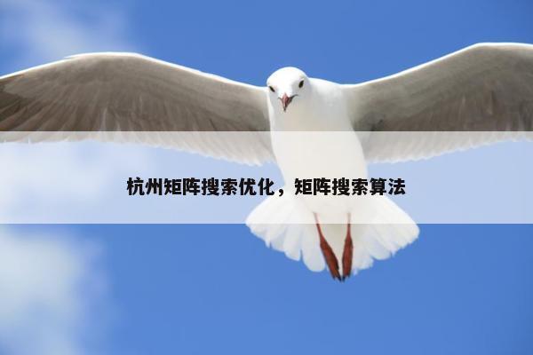 杭州矩阵搜索优化，矩阵搜索算法