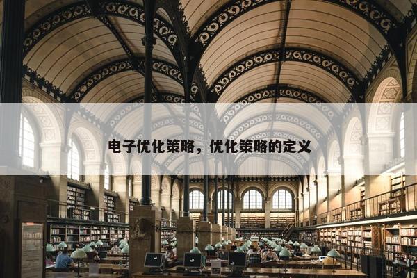电子优化策略，优化策略的定义