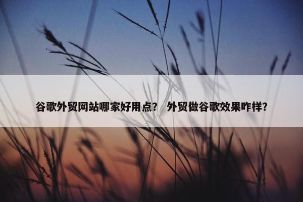 谷歌外贸网站哪家好用点？ 外贸做谷歌效果咋样？