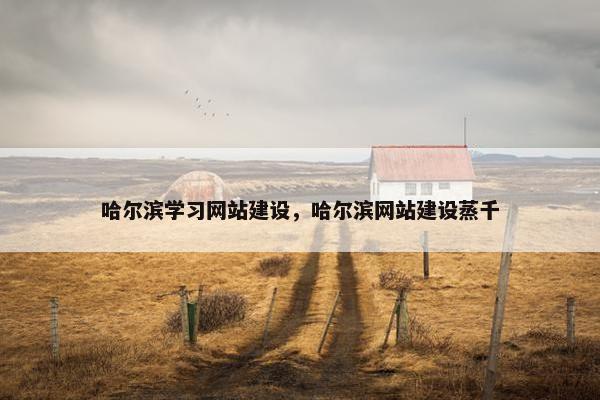 哈尔滨学习网站建设，哈尔滨网站建设蒸千