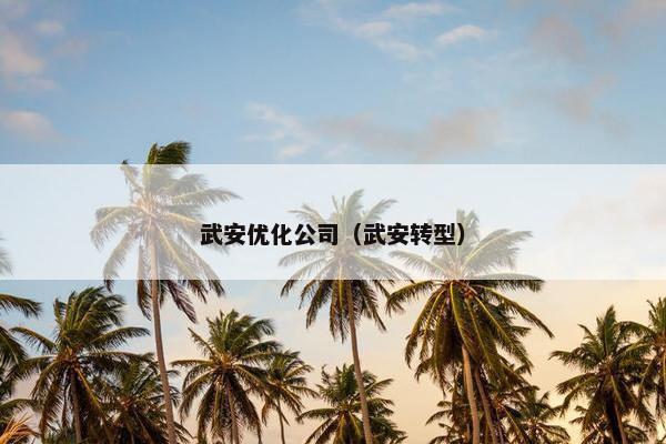 武安优化公司（武安转型）