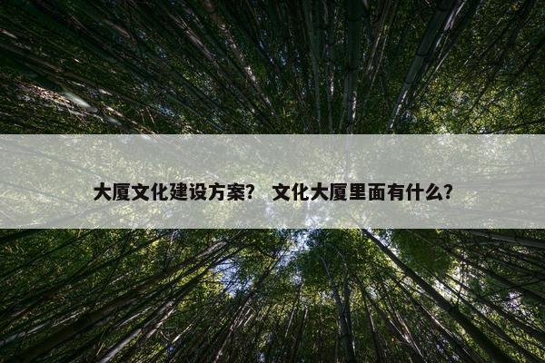 大厦文化建设方案？ 文化大厦里面有什么？