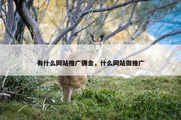 有什么网站推广佣金，什么网站做推广