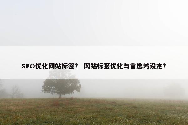 SEO优化网站标签？ 网站标签优化与首选域设定？