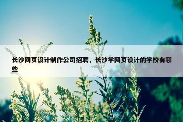 长沙网页设计制作公司招聘，长沙学网页设计的学校有哪些