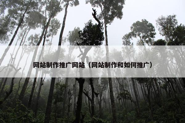 网站制作推广网站（网站制作和如何推广）