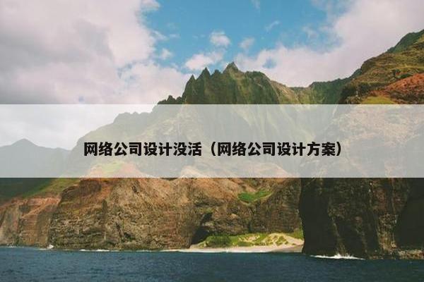 网络公司设计没活（网络公司设计方案）