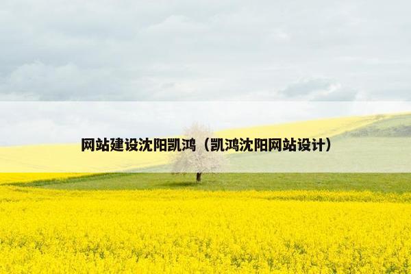 网站建设沈阳凯鸿（凯鸿沈阳网站设计）