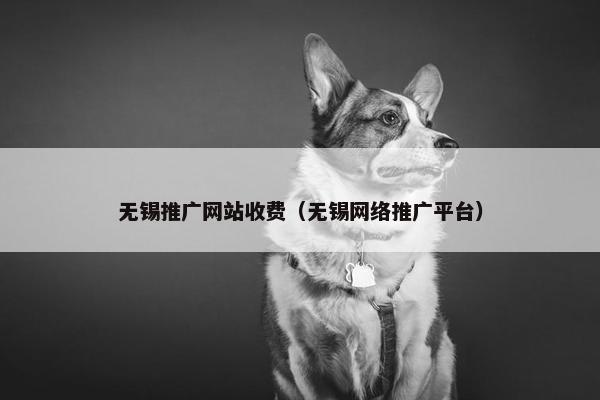 无锡推广网站收费（无锡网络推广平台）