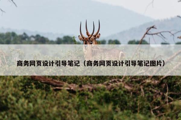 商务网页设计引导笔记（商务网页设计引导笔记图片）