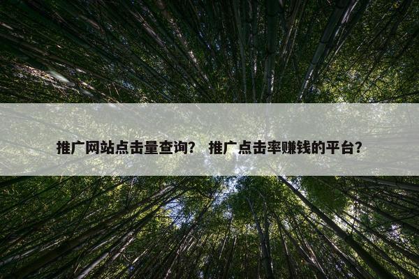 推广网站点击量查询？ 推广点击率赚钱的平台？