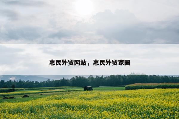 惠民外贸网站，惠民外贸家园