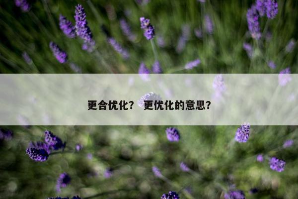 更合优化？ 更优化的意思？