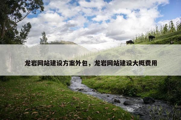 龙岩网站建设方案外包，龙岩网站建设大概费用
