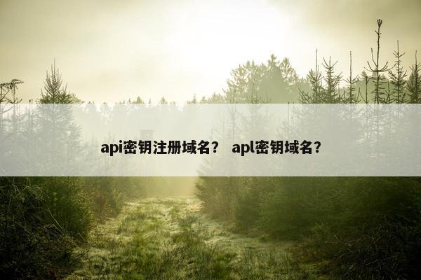 api密钥注册域名？ apl密钥域名？