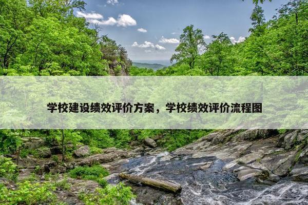 学校建设绩效评价方案，学校绩效评价流程图