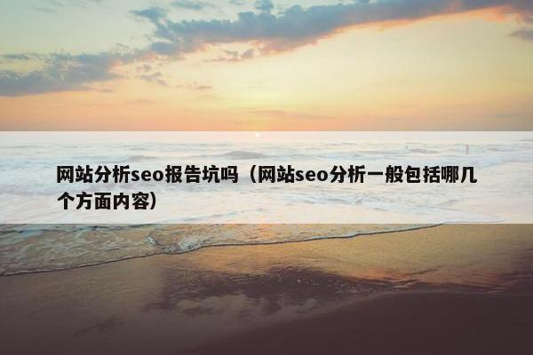 网站分析seo报告坑吗（网站seo分析一般包括哪几个方面内容）