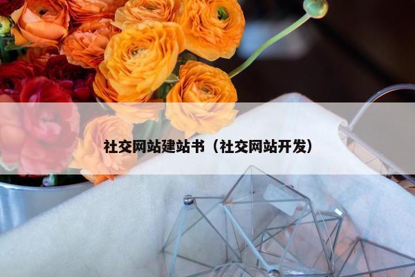 社交网站建站书（社交网站开发）