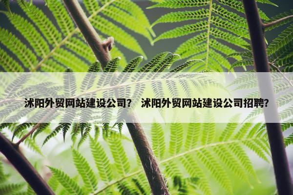 沭阳外贸网站建设公司？ 沭阳外贸网站建设公司招聘？