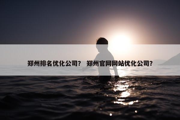 郑州排名优化公司？ 郑州官网网站优化公司？