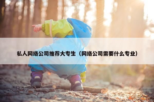 私人网络公司推荐大专生（网络公司需要什么专业）