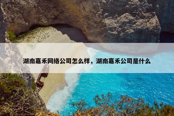湖南嘉禾网络公司怎么样，湖南嘉禾公司是什么