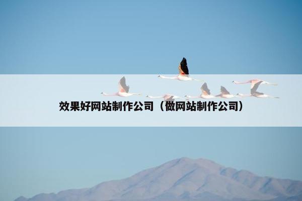 效果好网站制作公司（做网站制作公司）