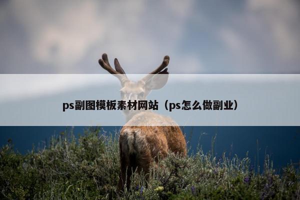 ps副图模板素材网站（ps怎么做副业）