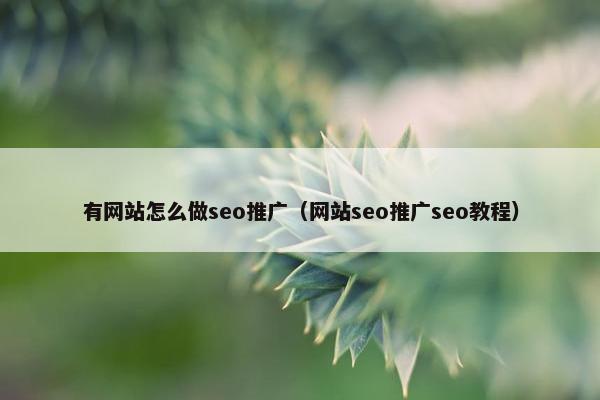 有网站怎么做seo推广（网站seo推广seo教程）