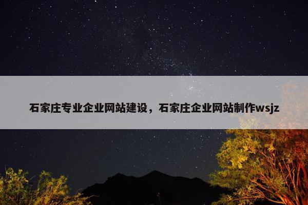 石家庄专业企业网站建设，石家庄企业网站制作wsjz