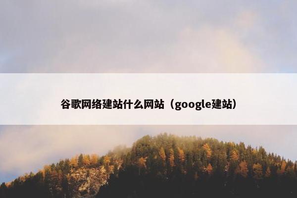 谷歌网络建站什么网站（google建站）