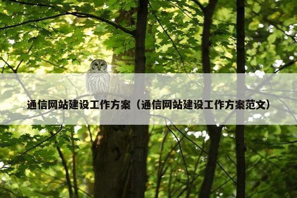 通信网站建设工作方案（通信网站建设工作方案范文）