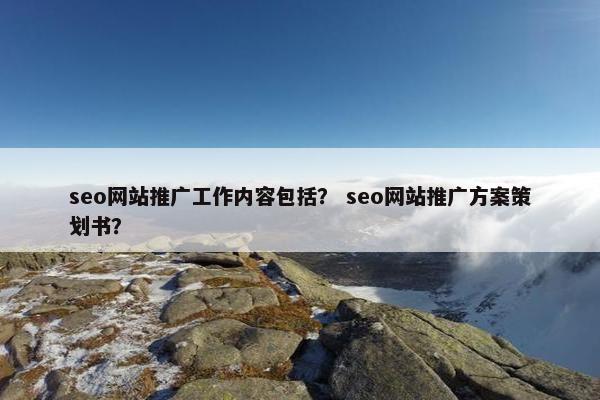 seo网站推广工作内容包括？ seo网站推广方案策划书？