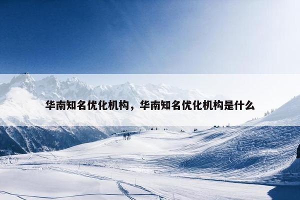 华南知名优化机构，华南知名优化机构是什么