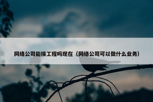 网络公司能接工程吗现在（网络公司可以做什么业务）
