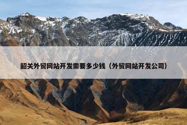 韶关外贸网站开发需要多少钱（外贸网站开发公司）