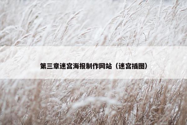 第三章迷宫海报制作网站（迷宫插图）