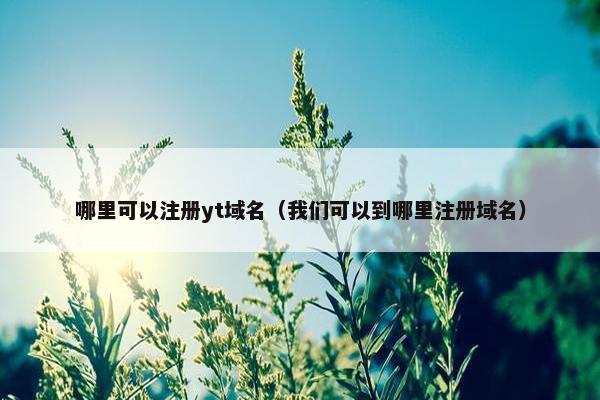 哪里可以注册yt域名（我们可以到哪里注册域名）