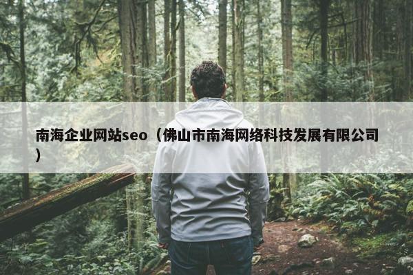 南海企业网站seo（佛山市南海网络科技发展有限公司）