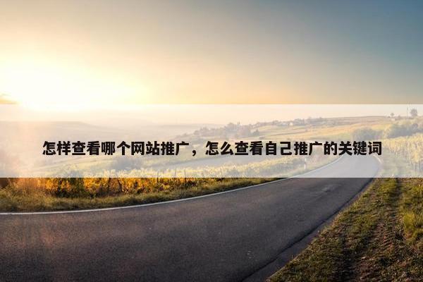 怎样查看哪个网站推广，怎么查看自己推广的关键词