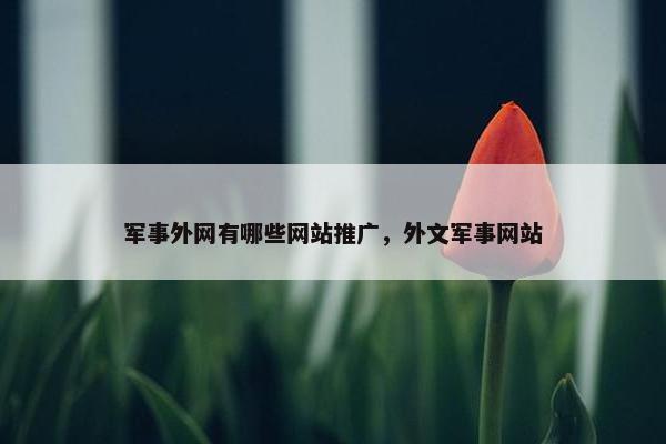 军事外网有哪些网站推广，外文军事网站