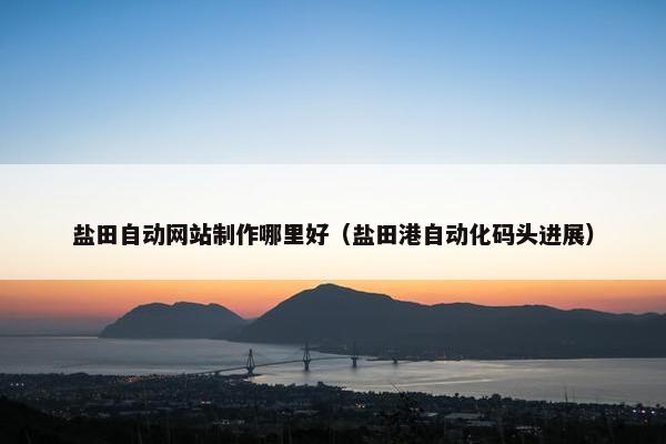 盐田自动网站制作哪里好（盐田港自动化码头进展）