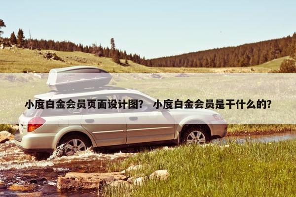 小度白金会员页面设计图？ 小度白金会员是干什么的？