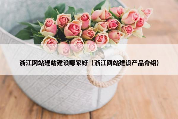 浙江网站建站建设哪家好（浙江网站建设产品介绍）