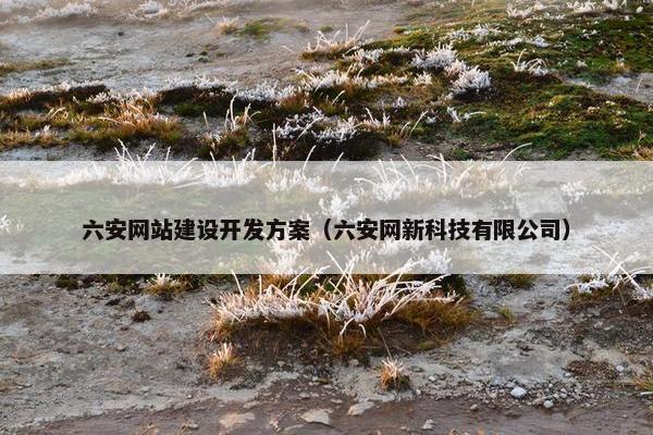 六安网站建设开发方案（六安网新科技有限公司）