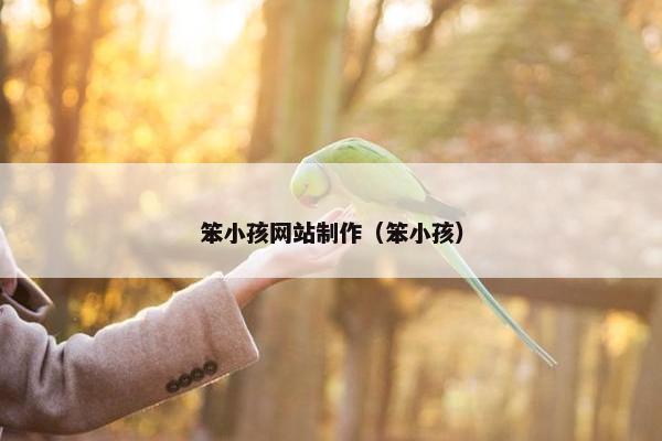 笨小孩网站制作（笨小孩）